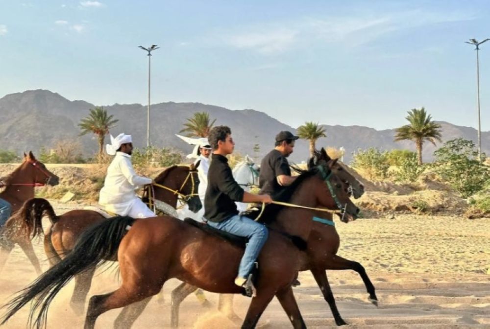 ركوب الخيل يستهوي الشباب بمنطقة نجران - واس