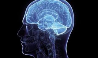 بالبلدي : أعراض ضبابية الدماغ.. استشاري يوضح طرق العلاج الممكنة