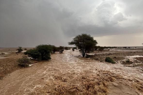 شاهد.. هطولات مطرية تروي الأودية والشعاب بشمال وغرب الرياض