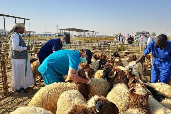 على مستوى جميع المحافظات بالمنطقة.. انطلاق جزلة الشرقية "وقاء يهتم بأضحيتك"