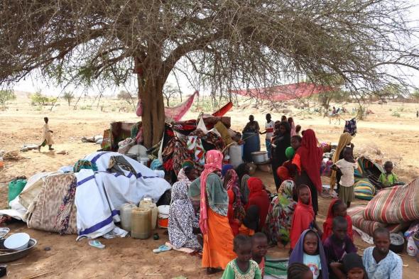 أماني الطويل: 6 مليون مواطن عدد لاجئي السودان.. والكوليرا ضربت 4 ولايات
