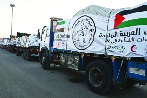 11 شاحنة مساعدات إنسانية إماراتية تدخل غزة