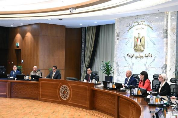 مجلس الوزراء المصري يوافق على مشروعات طاقة متجددة بالتعاون مع "أميا باور"الاماراتية