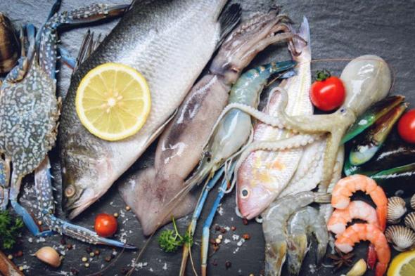 أسعار الأسماك في السعودية اليوم 26 يوليو 2024.. قائمة بـ ألذ وأشهي الأنواع