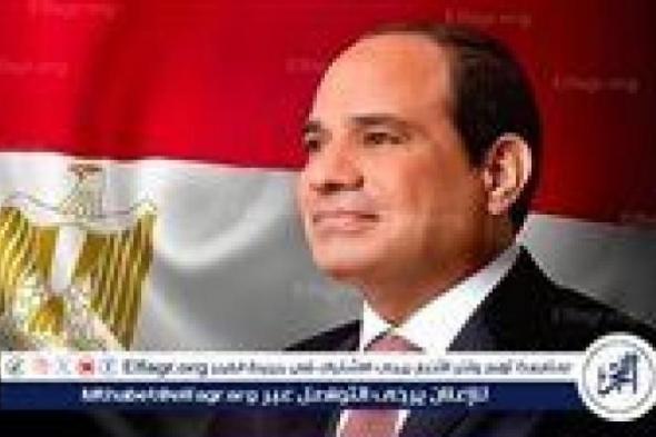 الرئيس السيسي: مصر وتركيا موقفهما المطالبة بالوقف الفوري لإطلاق النار في غزة