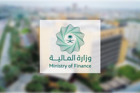 إنجازات بارزة في برامج تحقيق رؤية السعودية 2030 للعام 2024: خطوات استراتيجية نحو مستقبل مستدام