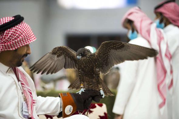 بمشاركة عالمية واسعة.. انطلاق معرض الصقور والصيد السعودي الدولي 2024 غداً