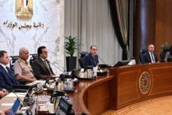 الوزراء يوافق على 2200 جنيه سعراً استرشادياً لأردب القمح موسم 2024/2025