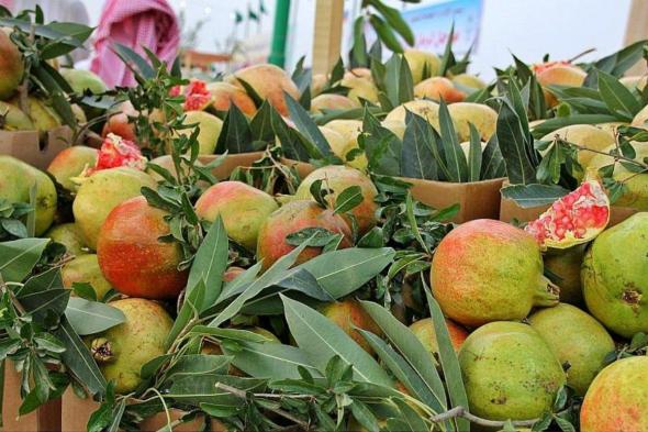 مهرجان الرمان الوطني يجمع الزوار والعارضين في تظاهرة زراعية وترفيهية بالباحة