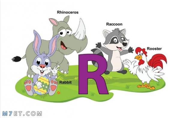 حيوانات بحرف الراء