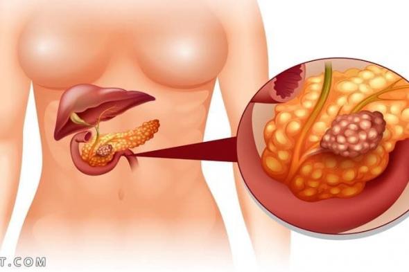 أين يقع البنكرياس وما هي أجزاؤه