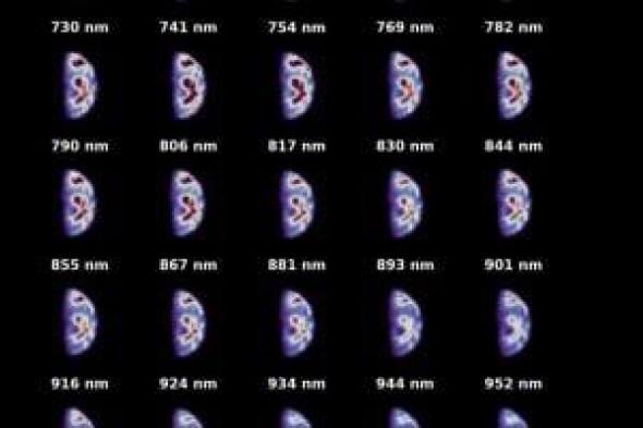 مركبة فضائية تلتقط صورًا مخيفة للأرض على مسافة 2 مليون كيلومتر