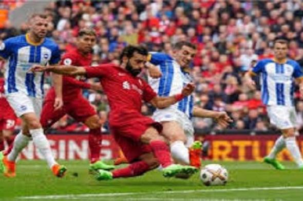 بث مباشر.. مشاهدة مباراة ليفربول وبرايتون في الدوري الإنجليزي