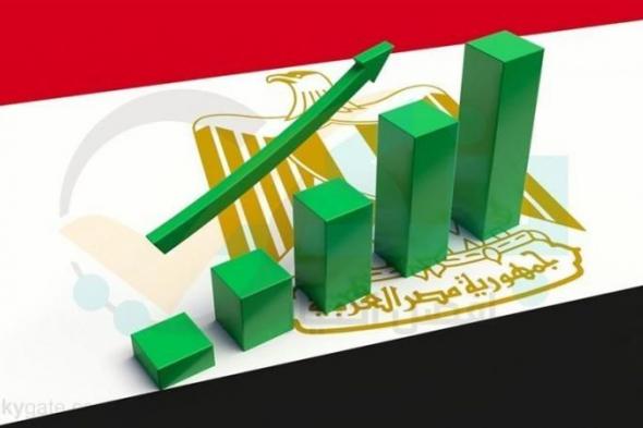 بالبلدي : وكالة فيتش تتوقع نمو الاقتصاد المصري بنسبة 4% في العام المالي الجاري