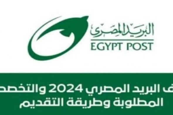 بالبلدي : خطوات ورابط الاستعلام عن نتيجة وظائف البريد المصري 2024