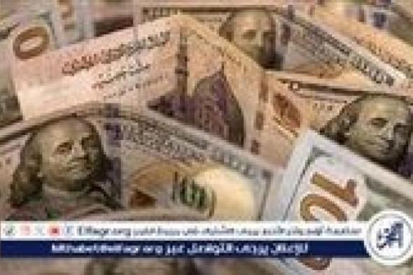 سعر الدولار مقابل الجنيه المصري اليوم الثلاثاء 5 نوفمبر 2024: استقرار ملحوظ مع استمرار الضغوط الاقتصادية