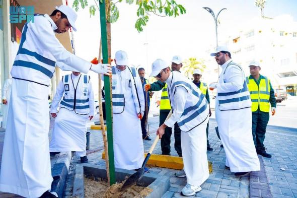 500 ألف شجرة و3 ملايين زهرة في مبادرة "شرقيتنا خضراء" لتعزيز المسطحات الخضراء بالشرقية