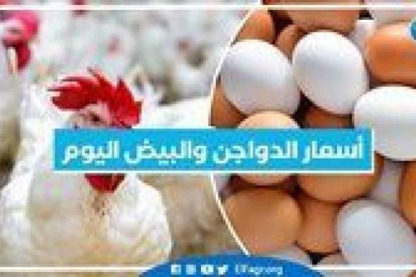 أسعار الدواجن اليوم الأربعاء 6-11-2024 في الدقهلية