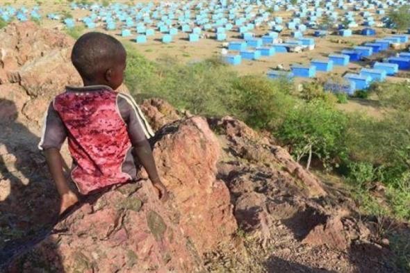 وفاة أكثر من 73 شخصاً في ولاية الجزيرة بالسودان بسبب الوضع الصحي