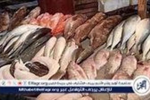 اسعار السمك اليوم الخميس 7-11-2024 في الدقهلية