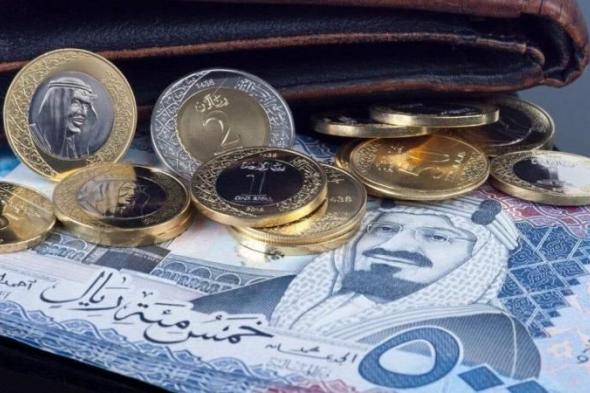 بالبلدي : سعر الريال السعودي مقابل الجنيه المصري.. كم يسجل الآن في البنك الأهلي؟