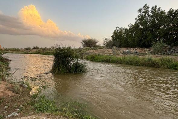 ​​​​​​​مشروع بحثي يستكشف التنوع البيولوجي في وادي العرج بالطائف