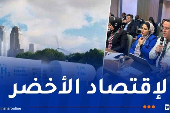 بودن: الجزائر تسعى لتكون مصدرا رئيسيا للهيدروجين الأخضر