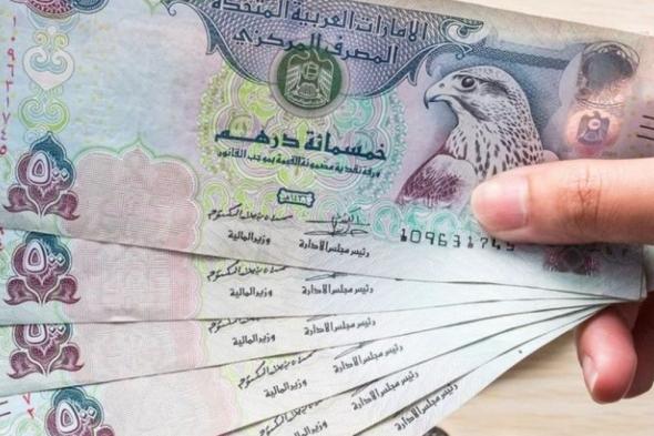 1000 درهم إماراتي كم جنيه مصري في المركزي؟.. آخر تحديثات السوق المصرفي