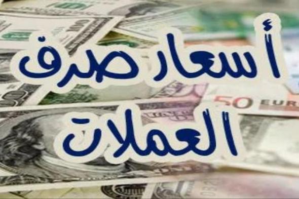 تحديث لحظي لأسعار العملات في مصر اليوم الثلاثاء 12 نوفمبر 2024 مقابل الجنيه المصري