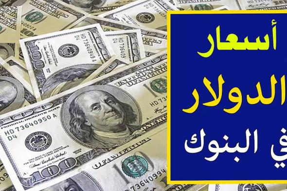 سعر الدولار اليوم في البنك الأهلي الثلاثاء 12-11-2024 وداخل مختلف البنوك المصرية الآخرى