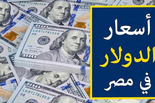 سعر الدولار مقابل الجنيه المصري اليوم الثلاثاء 12 نوفمبر 2024 في مٌختلف البنوك لتعاملات البيع والشراء