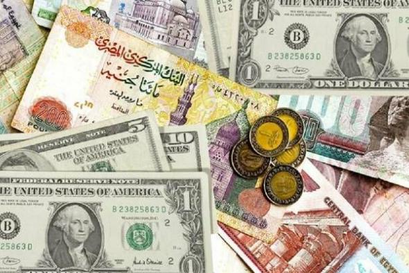 “البنك المركزي يعلن سعر الدولار مقابل الجنيه “.. سعر الدولار اليوم في البنوك المصرية بتاريخ 12-11-2024