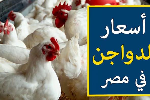 بورصة الدواجن اليوم الثلاثاء 12-11-2024 والسعر للمستهلك في الأسواق التجارية