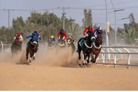 برعاية الأمير فيصل بن نواف.. انطلاق موسم سباقات ميدان الفروسية بالجوف