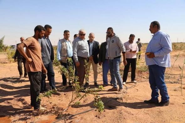 الزراعة: علماء وباحثي مركز الصحراء يواصلون تقديم الدعم الفنى والإرشادات لمزارعي التجمعات...اليوم الأربعاء، 13 نوفمبر 2024 10:17 صـ   منذ 37 دقيقة