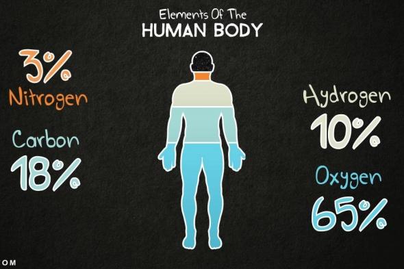 معلومات تفصيلية عن العناصر في جسم الإنسان