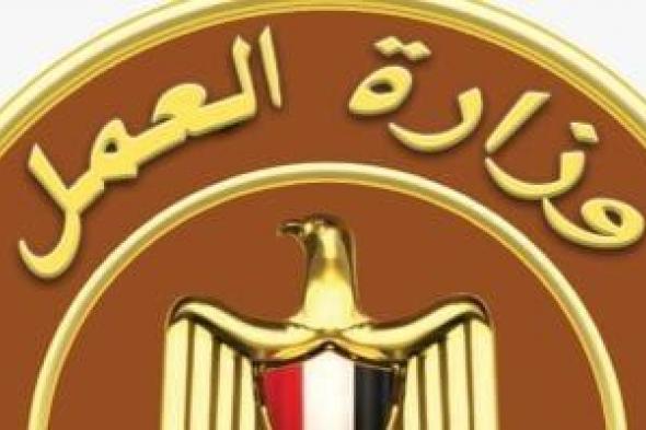 الاتحاد الدولي للتوظيف: مشروع قانون العمل الجديد خطوة مهمة نحو تطوير المنظومة