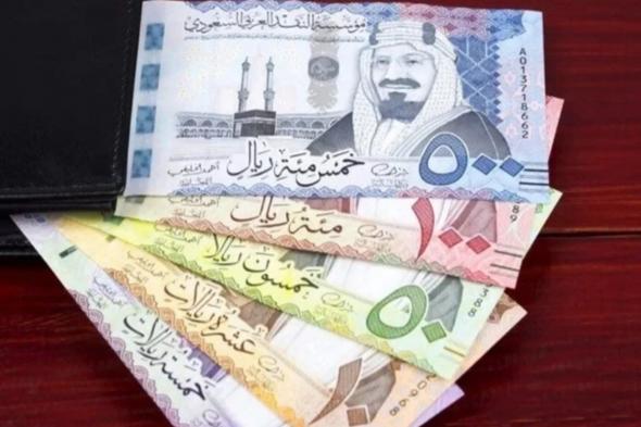 سعر الريال السعودي اليوم الثلاثاء الموافق 19 نوفمبر 2024 مقابل الجنيه المصري داخل البنوك المختلفة