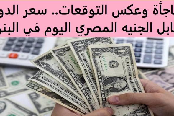 سعر الدولار مقابل الجنية المصري اليوم الاربعاء 20-11-2024 داخل جميع البنوك المصرية