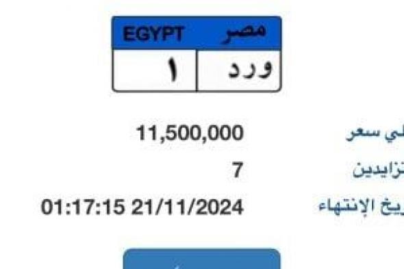 سعر لوحة "و ر د - 1" المميزة يصل لـ11 مليون جنيه و7 مزايدين يتنافسون عليها