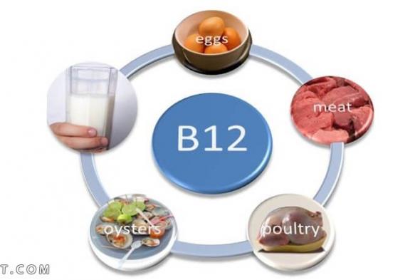 اين يوجد فيتامين b12 في الخضار والنباتات والفواكة