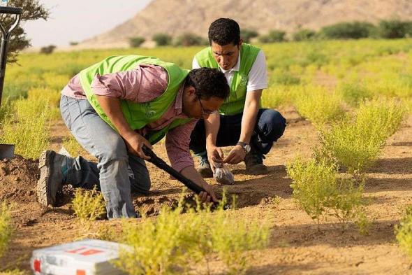 بمبلغ 150 مليون دولار.. السعودية تُعلن عن إطلاق مبادرة شراكة الرياض العالمية لمواجهة الجفاف