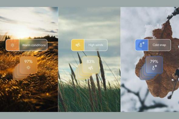 جوجل تكشف عن نموذج GenCast .. قفزة نوعية في توقعات الطقس بالذكاء الاصطناعي