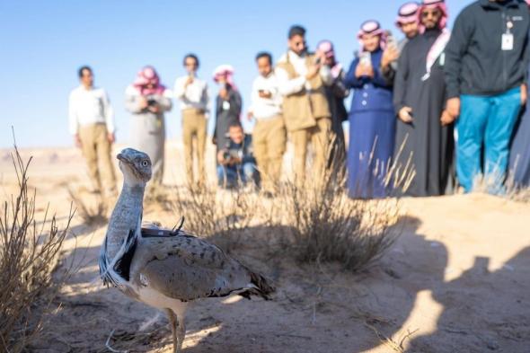 إطلاق 66 كائنًا مهددًا بالانقراض في محمية الملك خالد