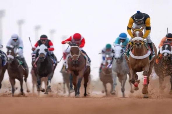 ميدان الفروسية بالمدينة المنورة ينظم اليوم الحفل السادس لسباقات الخيل