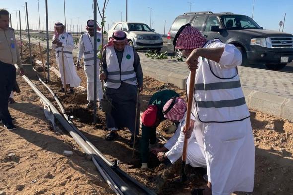 "بيئة رابغ" يطلق مبادرة تشجير وزراعة 700 شتلة بكورنيش المحافظة