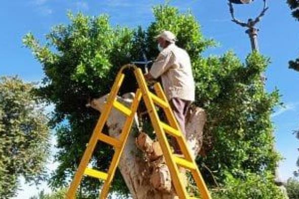 رؤساء الوحدات المحلية بأسوان تواصل إزالة المطبات العشوائية والمخلفات