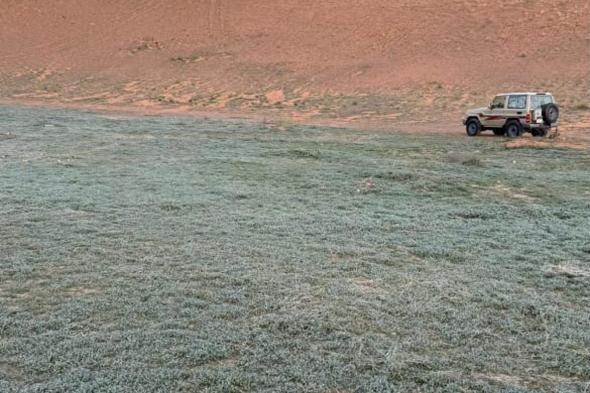 فجرًا وحتى الصباح.. شاهد كيف زيّن بعض الجليد النباتات البرية والرمال بالزلفي