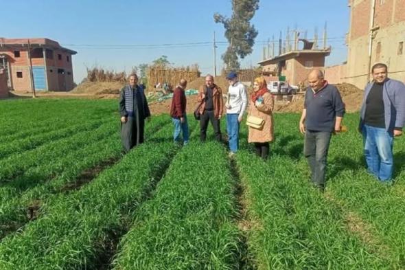 البحوث الزراعية يستعرض حصاد أنشطة مبادرة المراكز الإرشادية الزراعية خلال شهر ديسمبر...اليوم الثلاثاء، 7 يناير 2025 11:37 صـ   منذ 49 دقيقة