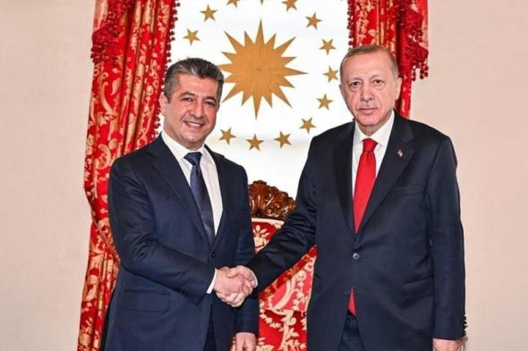 أردوغان: لا مكان للتنظيمات الإرهابية في سوريا الجديدةاليوم الثلاثاء، 7 يناير 2025 04:04 مـ   منذ 4 دقائق